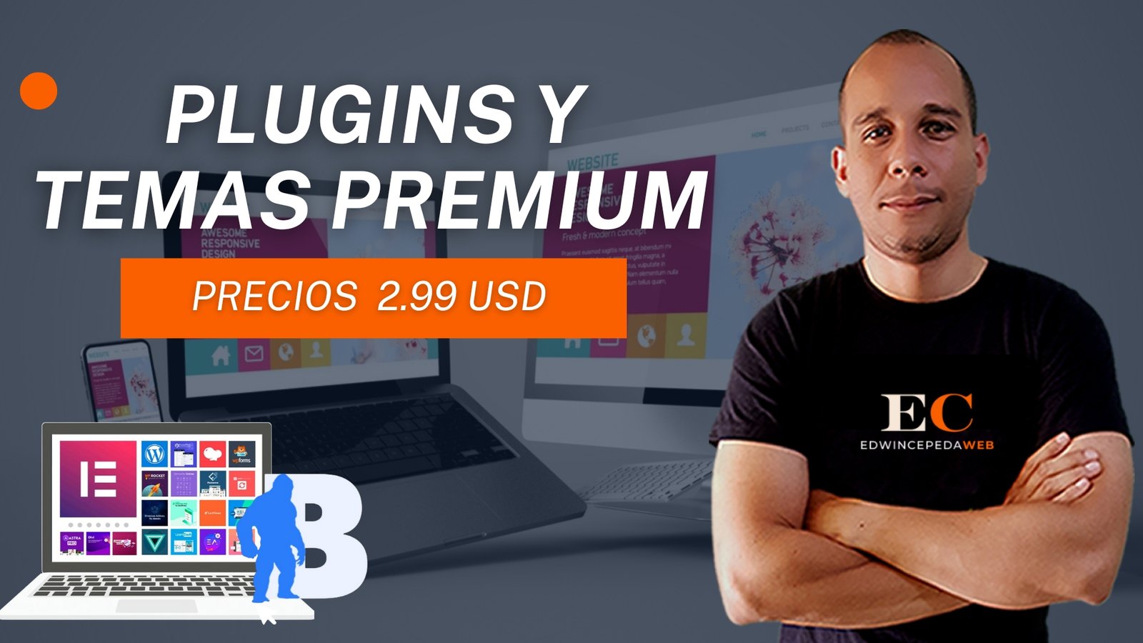 Bigmasterweb: Los Mejores Plugins y Temas Premium de WordPress a Precios Increíbles [2024]